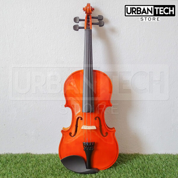 Violín Acústico 4/4 Qte Sc-730 Brillante - Imagen 3