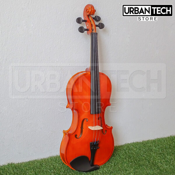 Violín Acústico 4/4 Qte Sc-730 Brillante - Imagen 4