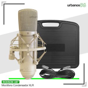 Micrófono Condensador Rodson U87