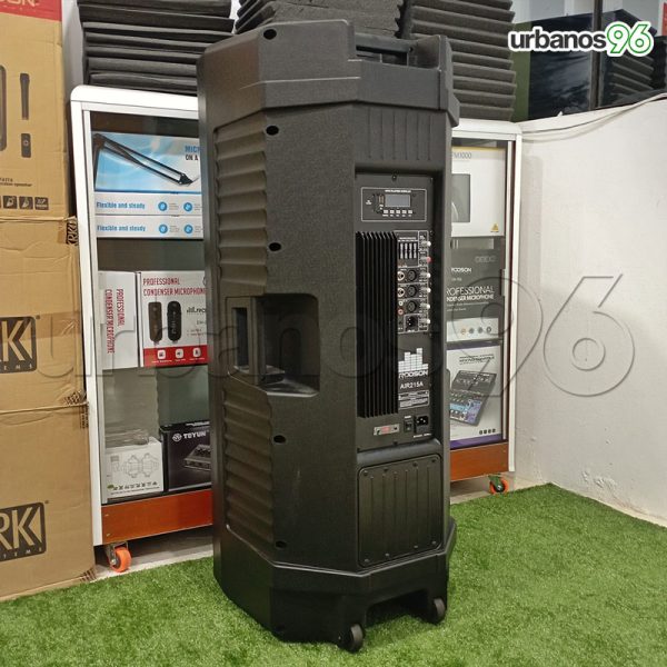 Parlante Activo 2X15" Rodson Air215 1500w - Imagen 5