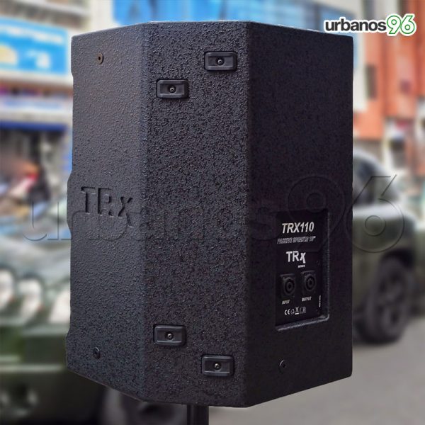 Caja Acústica Pasiva de 10" Rodson TRX110 - Imagen 3